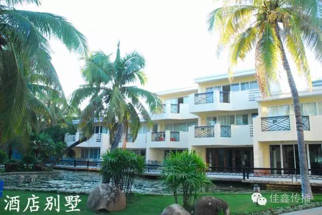 椰海3.jpg 椰海3.jpg