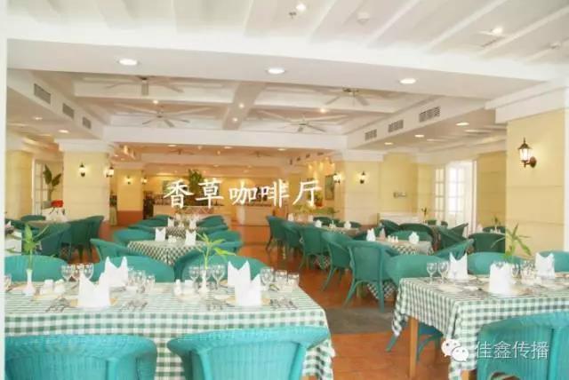 椰海9.jpg 椰海9.jpg